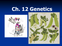 Ch. 12 Genetics - Cloudfront.net