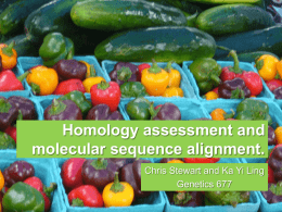Homology assessment and molecular sequence