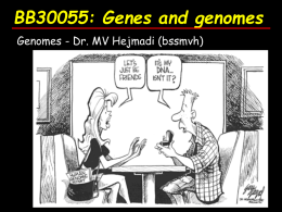 BB30055: Genes and genomes