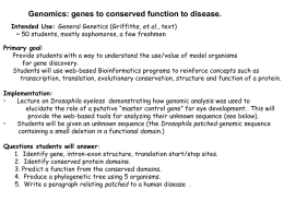 Bioinformatics_workshop