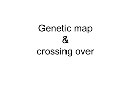 genetic mapping