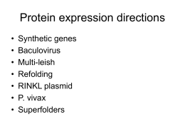 Protein expression directions