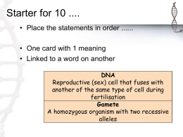 dna-structure-ppt1 - Mrs Smith` s Biology
