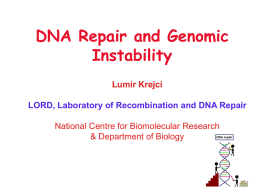DNA Repair and Genomic Instability