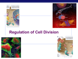 Chapter 12. Regulation of the Cell Cycle