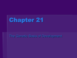 Chapter 21 - gloriousbiology