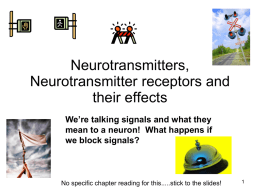 11- neurotransmitters and receptors
