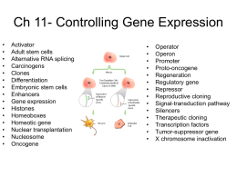 Ch 11- Controlling Gene Expression