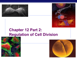 Mitosis Part 2: Regulation of Cell Cycle