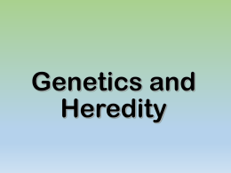 Genetics PowerPoint - Ms. Melissa King Math and Science