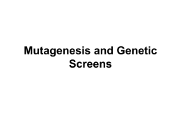 Mutagenesis and Genetic Screens