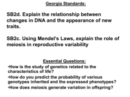 10-2 & 11-2 Mendel Genetics 2010