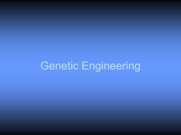 Genetic Engineering