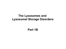 Lysosomes 2010 Part 1B