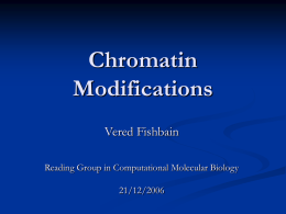 Chromatin Modifications