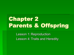 Chapter 2 Parents & Offspring