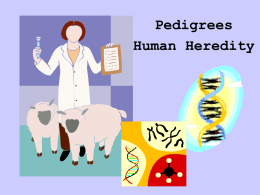 Genetics-pedigrees