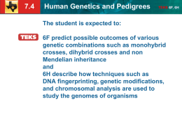 7.4 Human Genetics and Pedigrees TEKS 6F, 6H