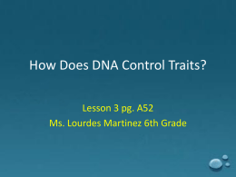 How Does DNA Control Traits? - 6thgrade