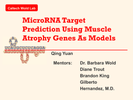 Discovery of Muscle Atrophy Gene Regulatory Network Using