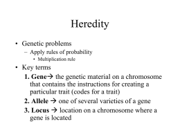 Heredity - TeacherWeb
