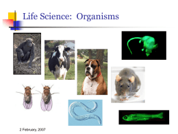 CS584:Computational and Life Science
