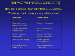 Genomic Library cDNA Library