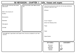 B2 REVISION – CHAPTER 1 – Cells, tissues
