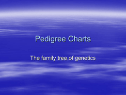 Pedigrees - Dublin Schools