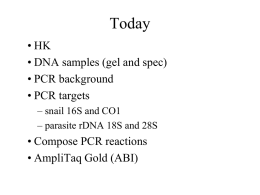 5 PCR - Biology