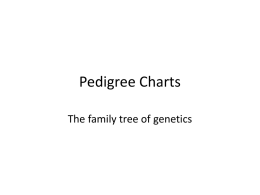 Pedigrees - s3.amazonaws.com