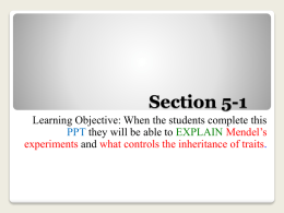 Learning Objective: When the students complete this PPT they will