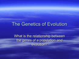 Genetics and Evolution