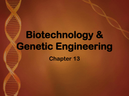 Biotechnology & Genetic Engineering