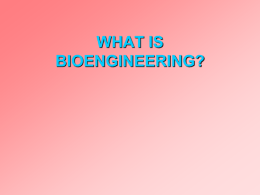 WHAT IS BIOENGINEERING?