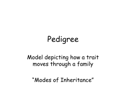 Pedigree - phsgirard.org
