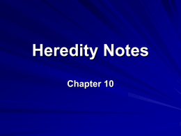 Heredity Notes
