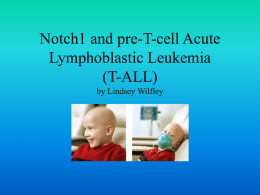 Notch 1 and pre-T-cell Acute Lymphoblastic Leukemia (T