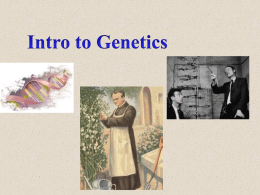 Intro Genetics - OG
