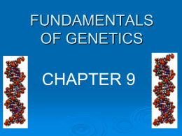 fundamentals of genetics - Doral Academy Preparatory