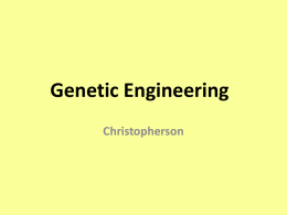 Genetic Engineering - christophersonbiology