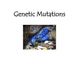 11a - Genetic Mutation Notes