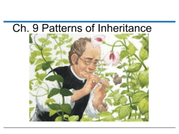 Ch. 9 Patterns of Inheritance