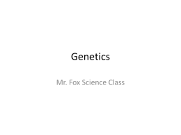 Genetics - Easy Plan Book