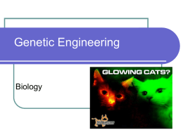 Genetic Engineering: How and why scientists manipulate DNA in