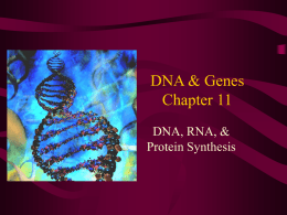 1. Gene Mutations