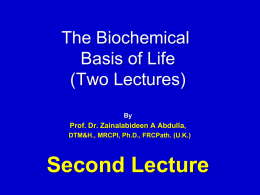 The Biochemical Basis of life