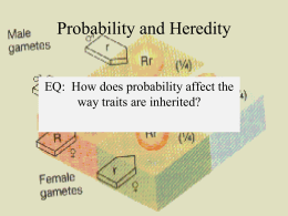 Probability and Heredity 2013