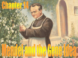 Mendel and The Gene Idea