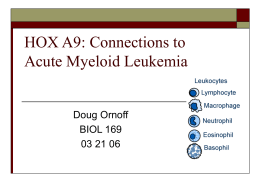 HOX A9 in Acute Myeloid Leukemia (AML)